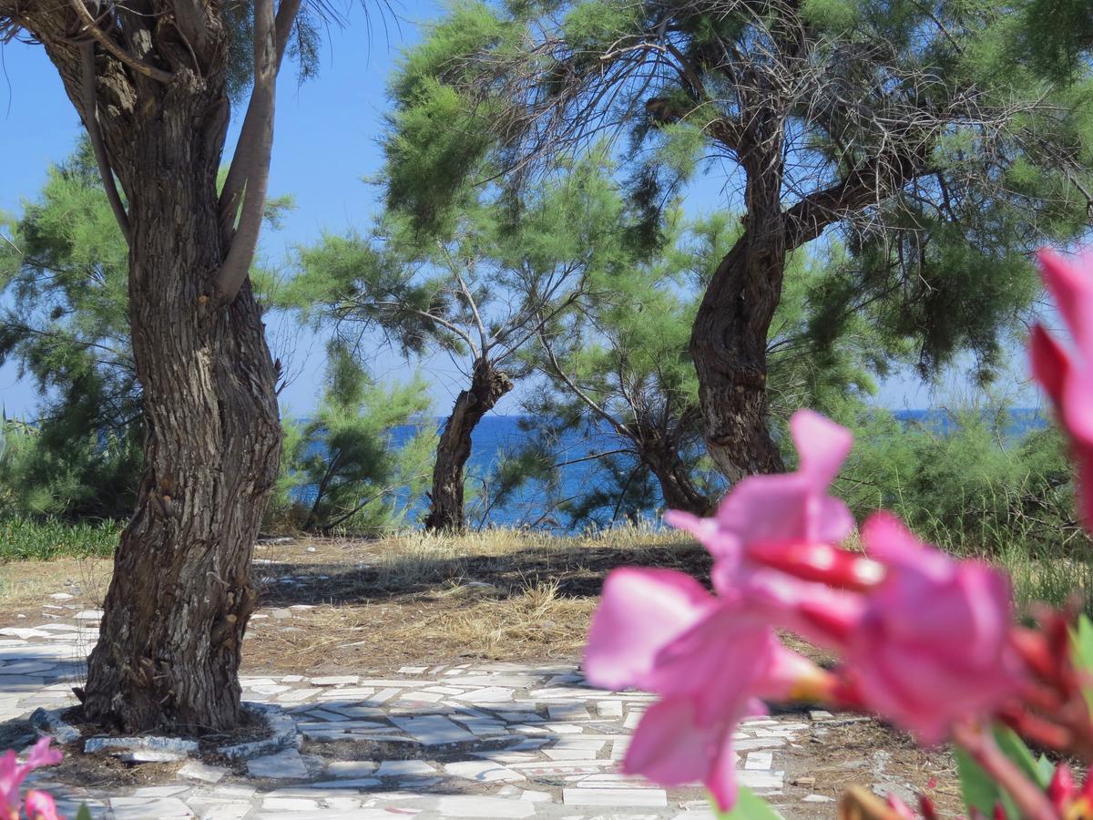 Loukas Beach Rooms คิโอตาริ ภายนอก รูปภาพ